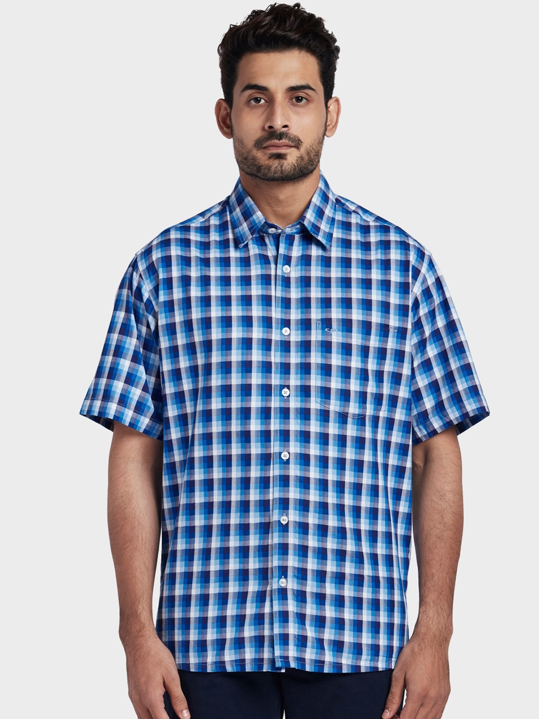 

ColorPlus Men Blue & White Regular Fit Checked Casual Shirt