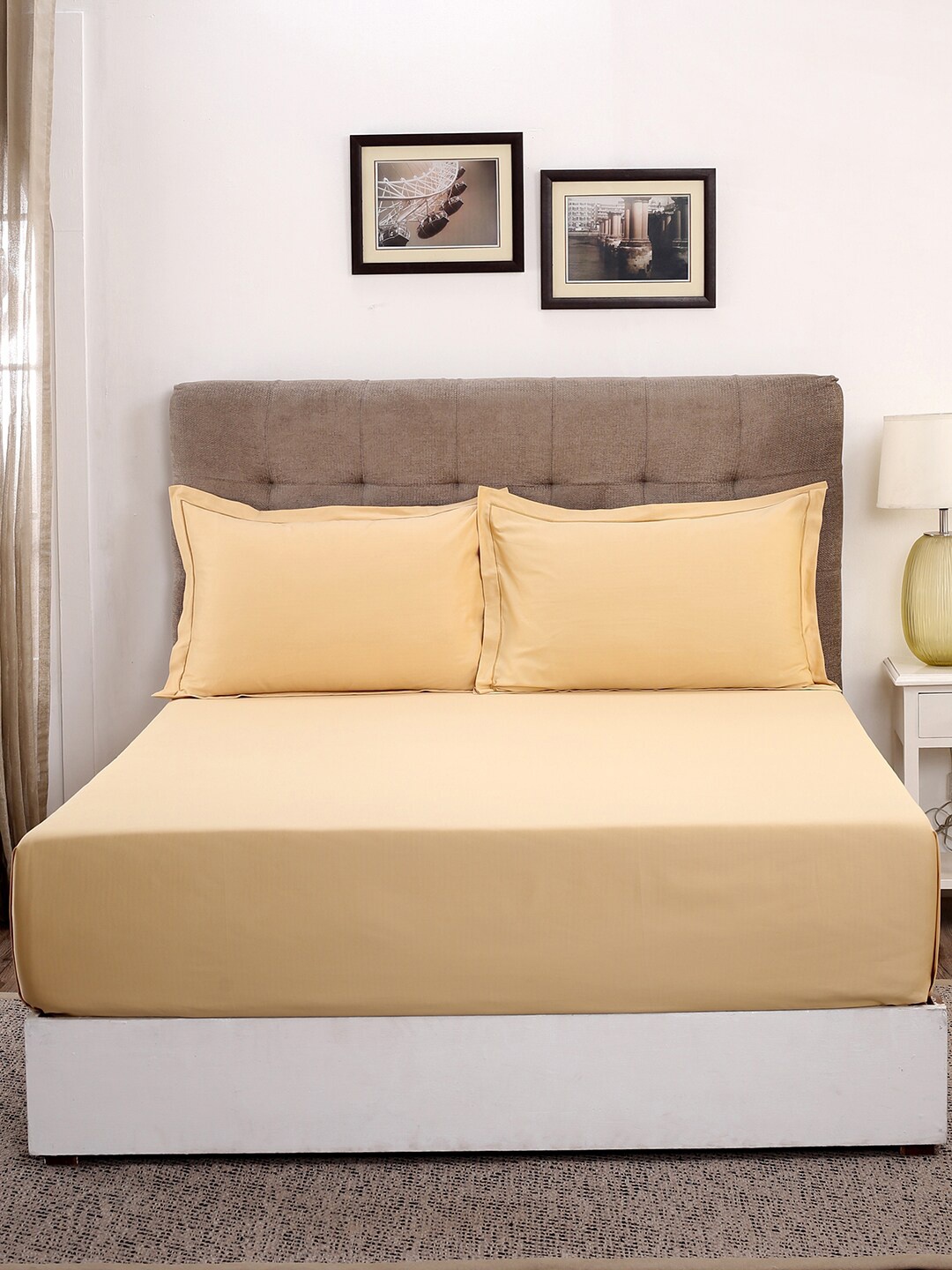 

MASPAR Gold-Coloured Solid 400TC 1 King Bedsheet with 2 Pillow Covers