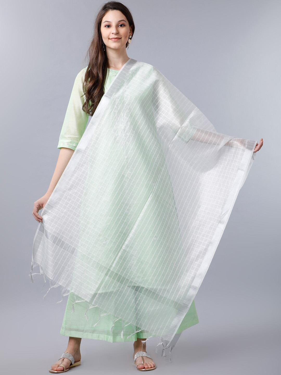 

Vishudh Women Off White & Silver-Coloured Checked Dupatta