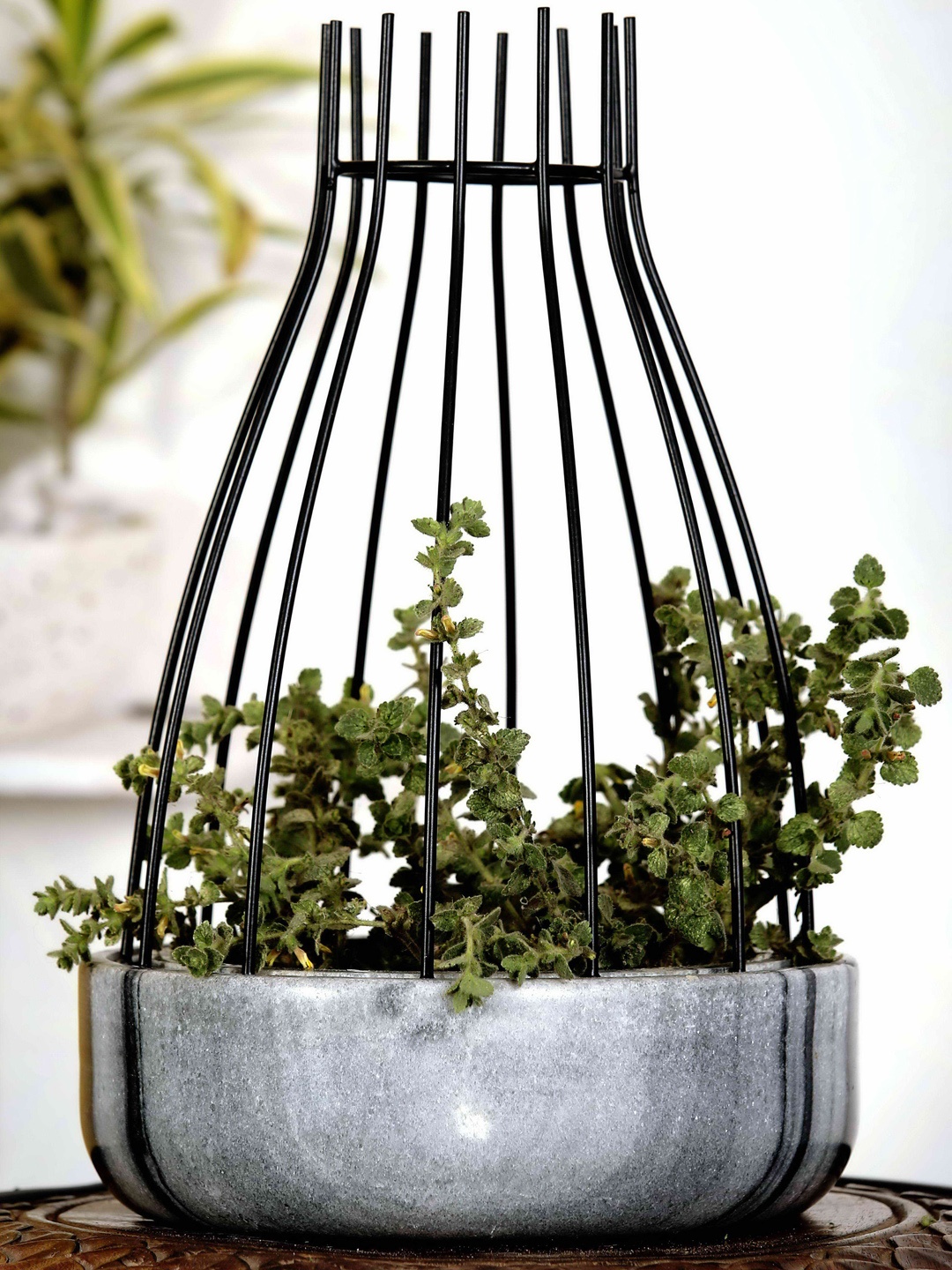 

POSH-N-PLUSH Grey Marble with Black Metal Web Planter