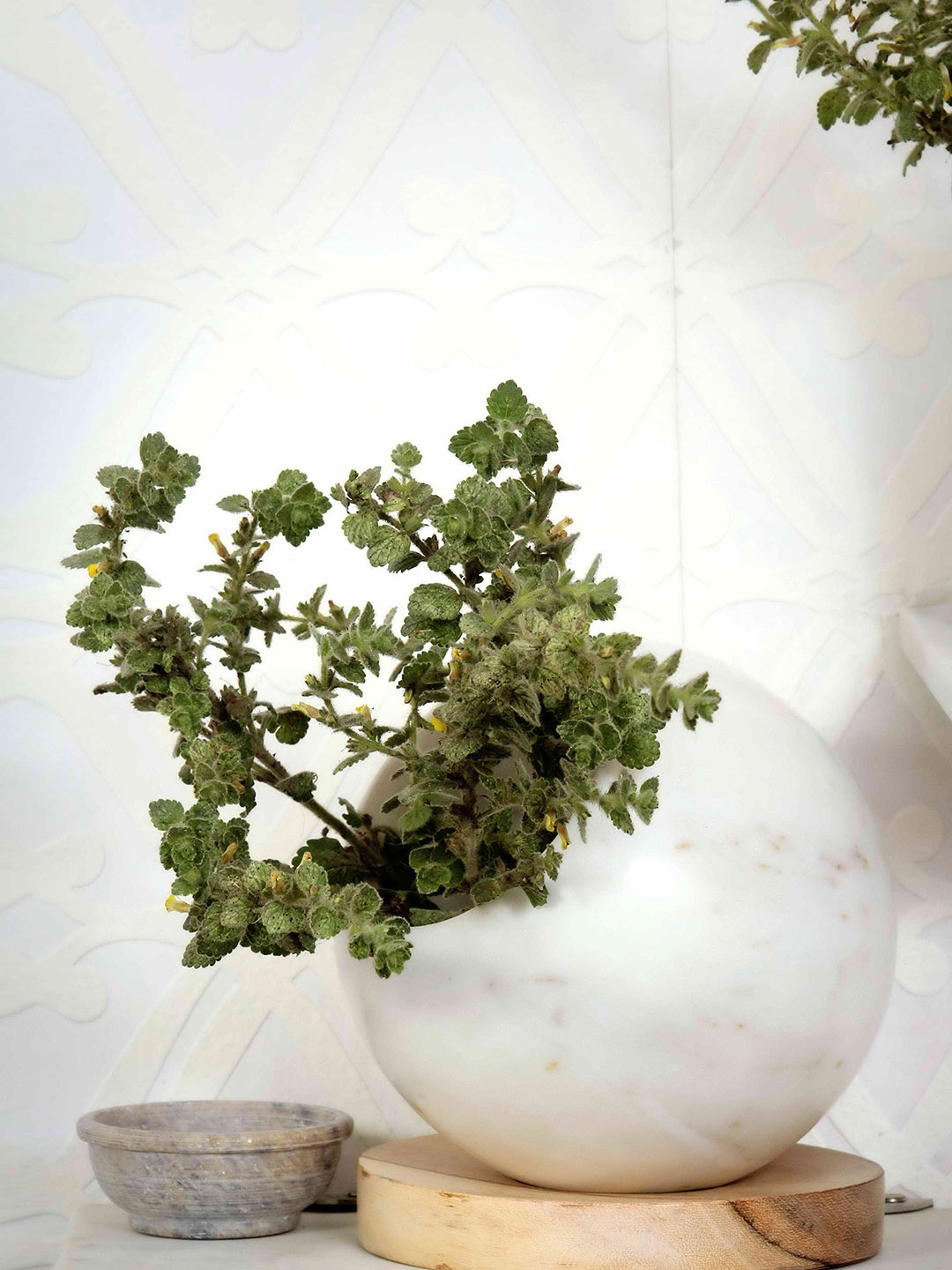 

POSH-N-PLUSH White Marble With Wood Base Planter