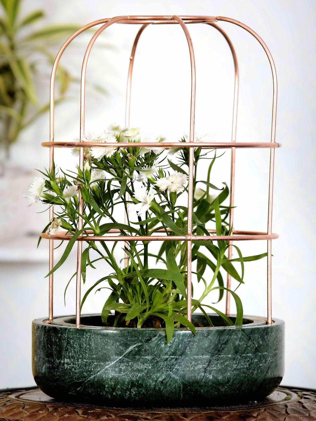

POSH-N-PLUSH Green Marble with Copper Metal Planter