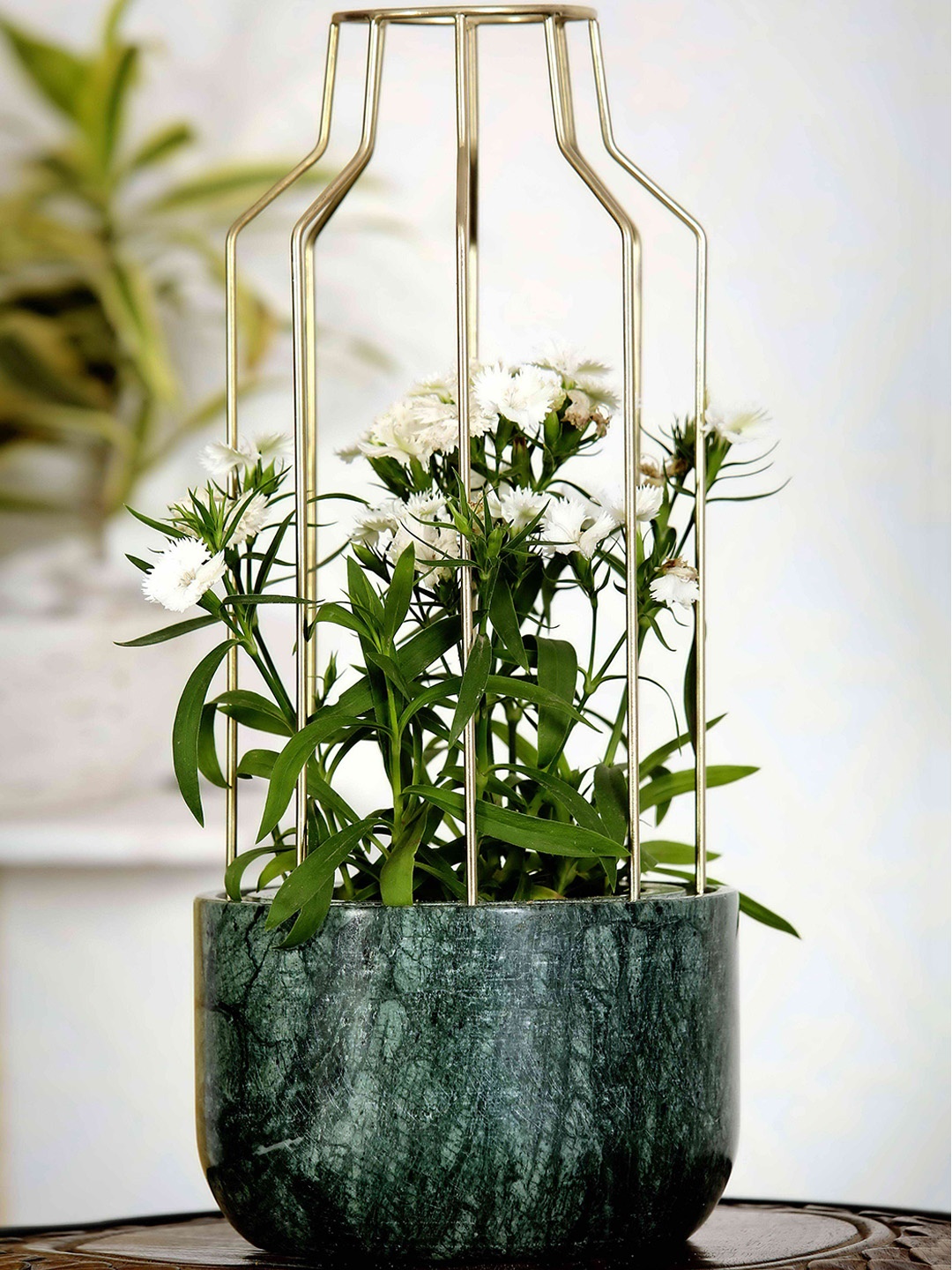 

POSH-N-PLUSH Green & Gold-Toned Printed Marble Metal Mesh Planter