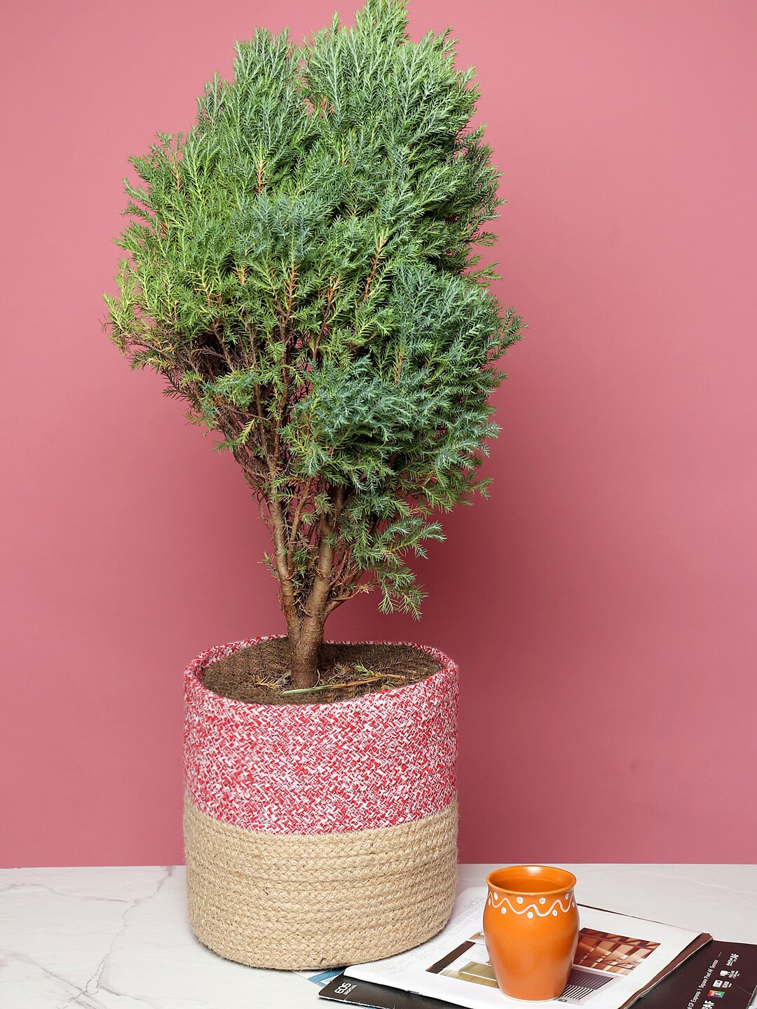 HABERE INDIA Beige & Red Jute Planter