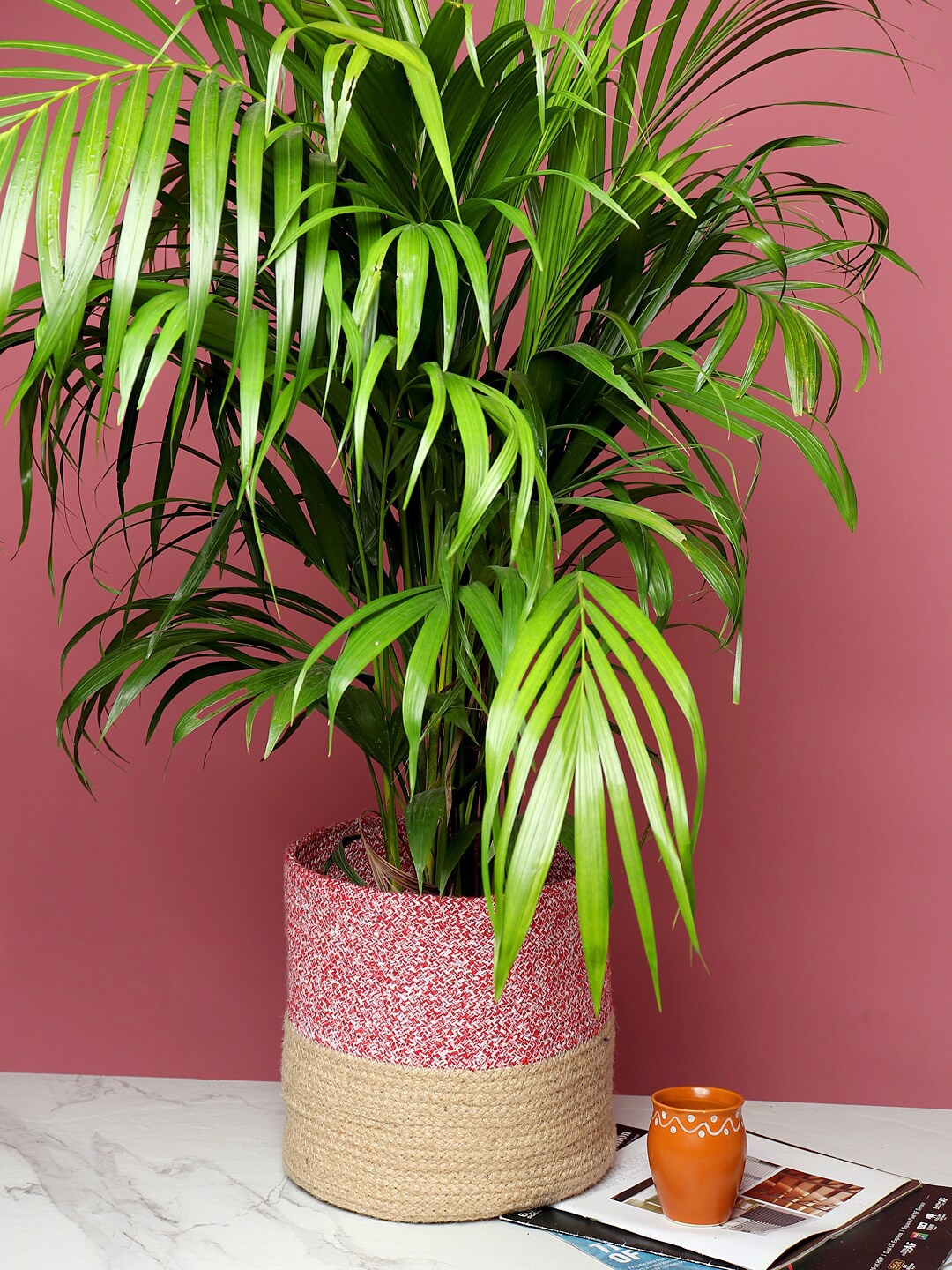 

HABERE INDIA Red & Beige Woven Jute Handmade Planter