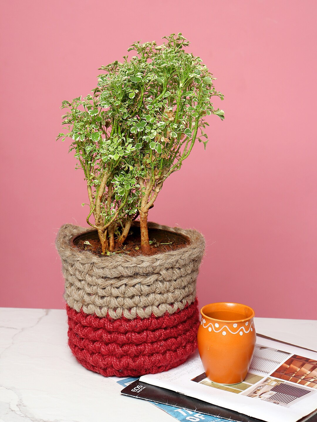 

HABERE INDIA Red & Beige Crochet Handmade Sustainable Planter