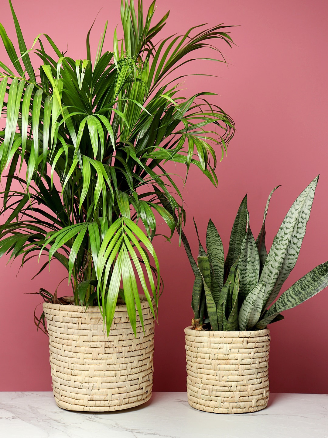 HABERE INDIA Set of 2 Beige Handmade Sustainable Planters