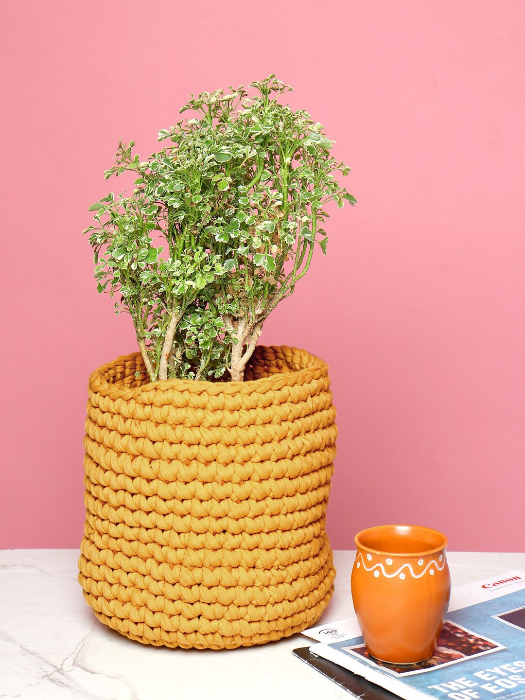

HABERE INDIA Unisex Yellow Solid Sustainable Yellow Planter