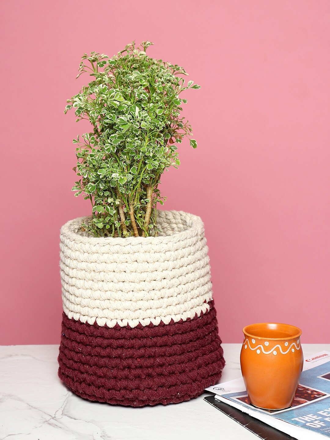 

HABERE INDIA Maroon & Off-White Sustainable Cotton Rope Planter