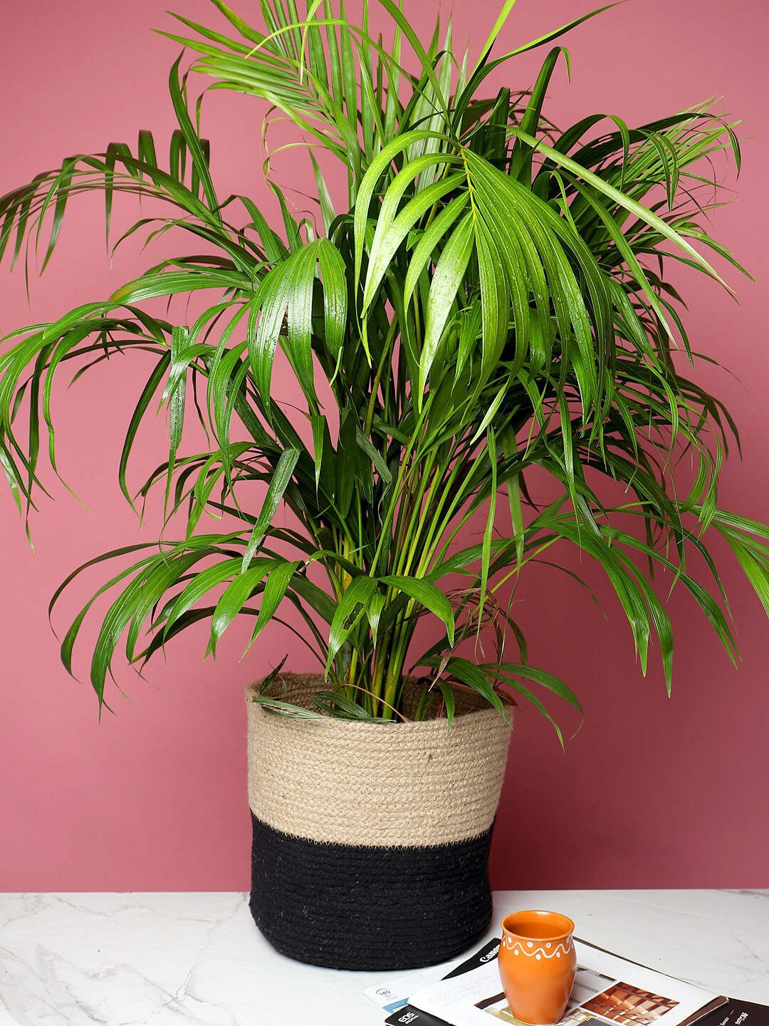 

HABERE INDIA Beige & Black Woven-Design Planter