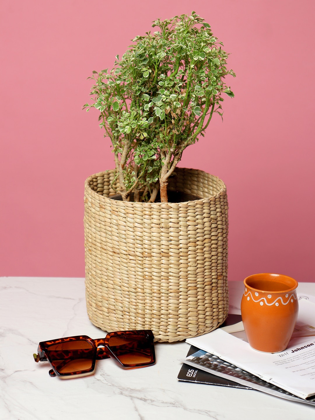 

HABERE INDIA Beige Sustainable Dry Grass Round Planter