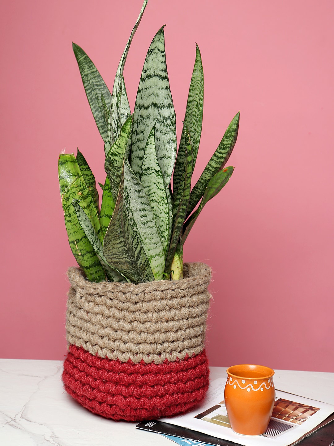 HABERE INDIA Red And Beige Colourblocked Crochet Planter