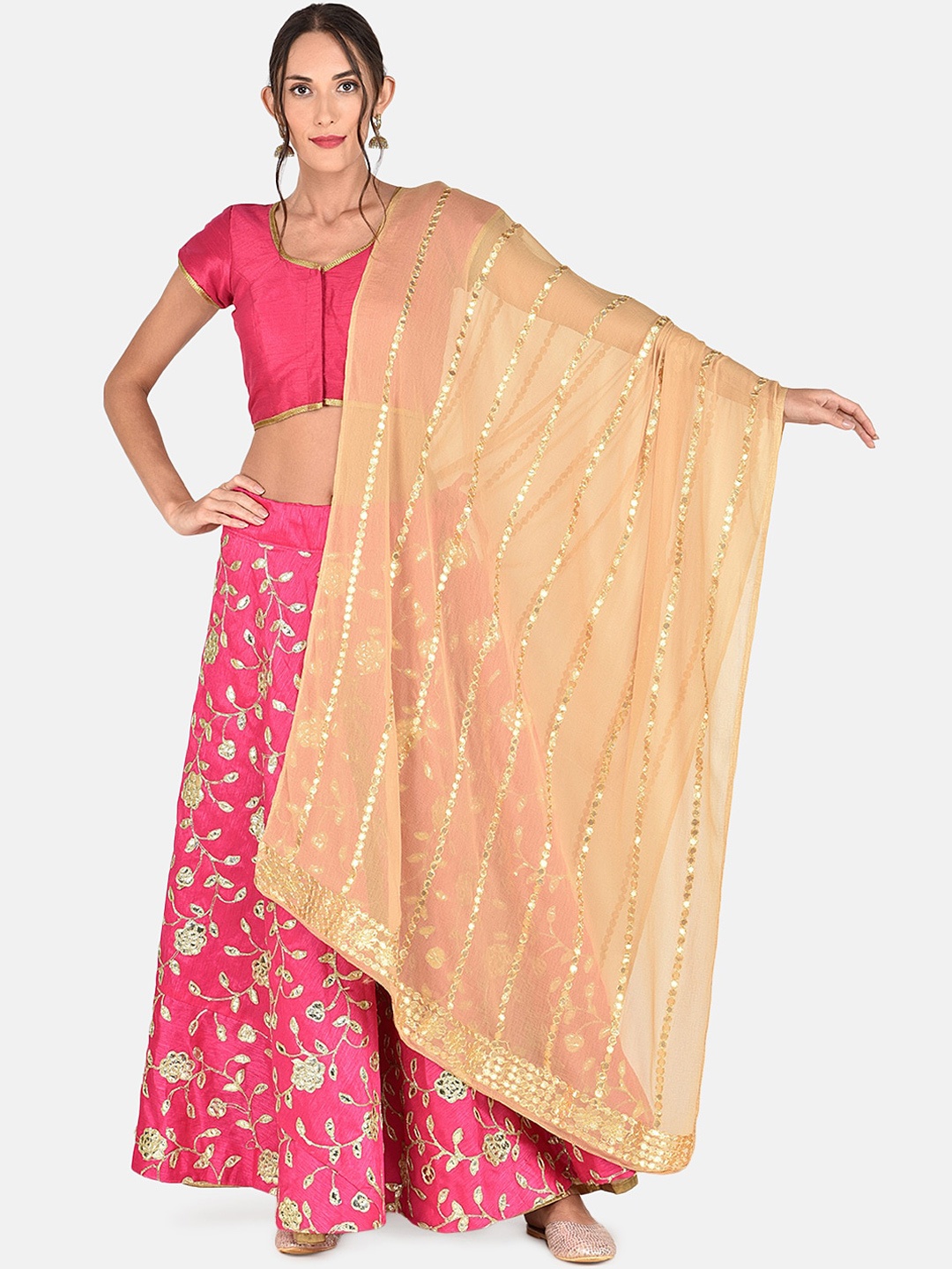 

Dupatta Bazaar Beige & Gold-Toned Embroidered Dupatta