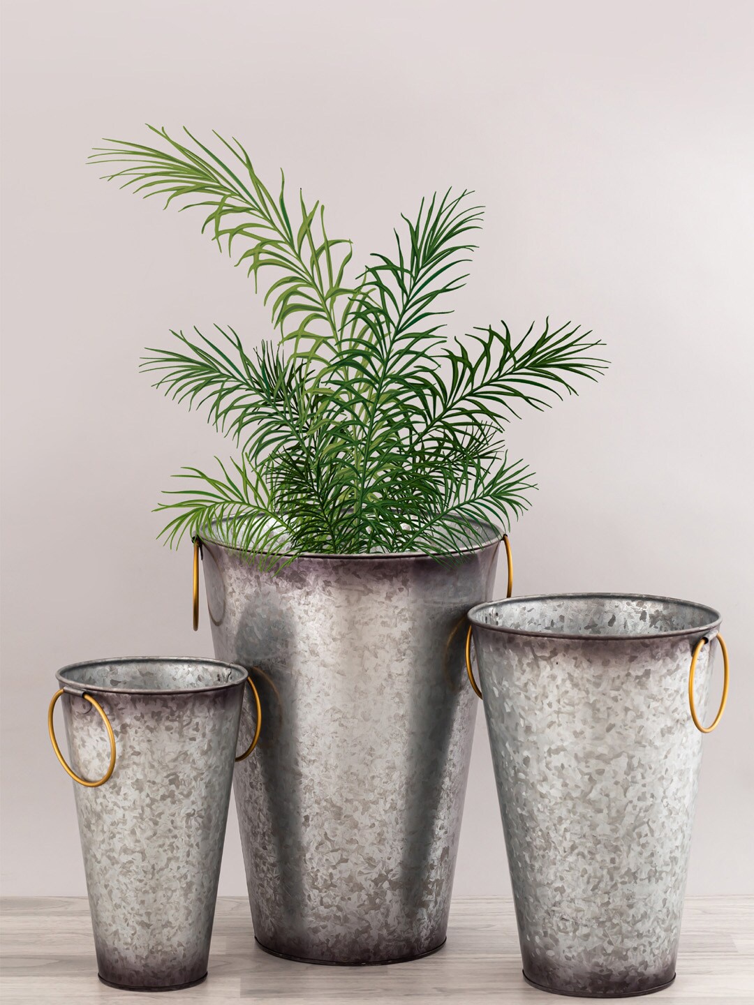 

Aapno Rajasthan Set of 3 Galvanized Metal Planters with Golden Hoops, Grey