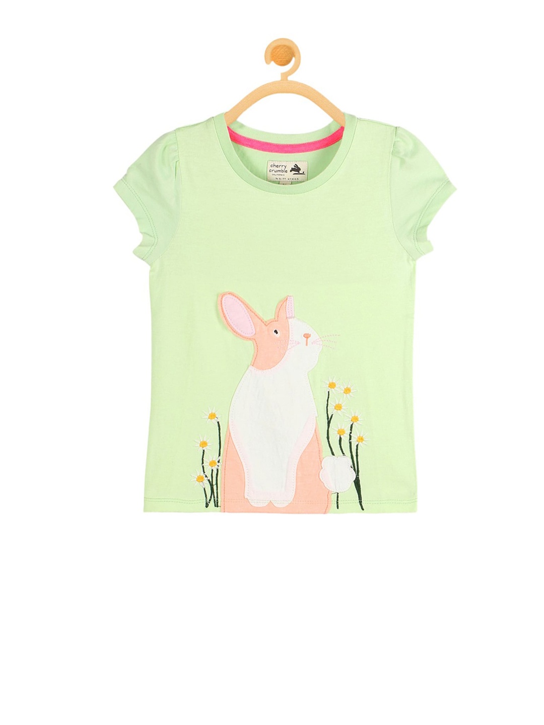 Cherry Crumble Girls Green & Pink Applique Top