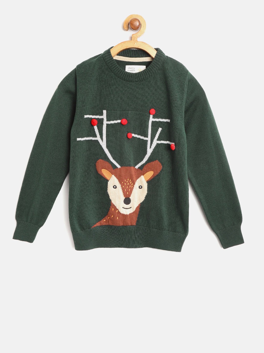 

Cherry Crumble Boys Green Self Design Pullover Sweater