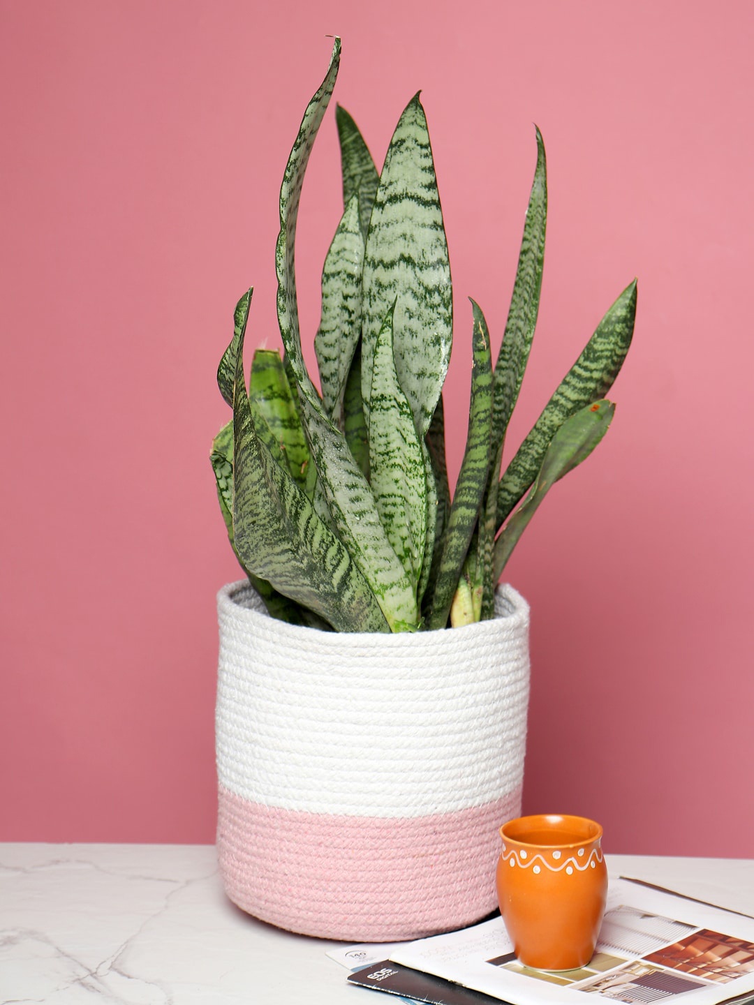 HABERE INDIA Pink & White Sustainable Jute Planter