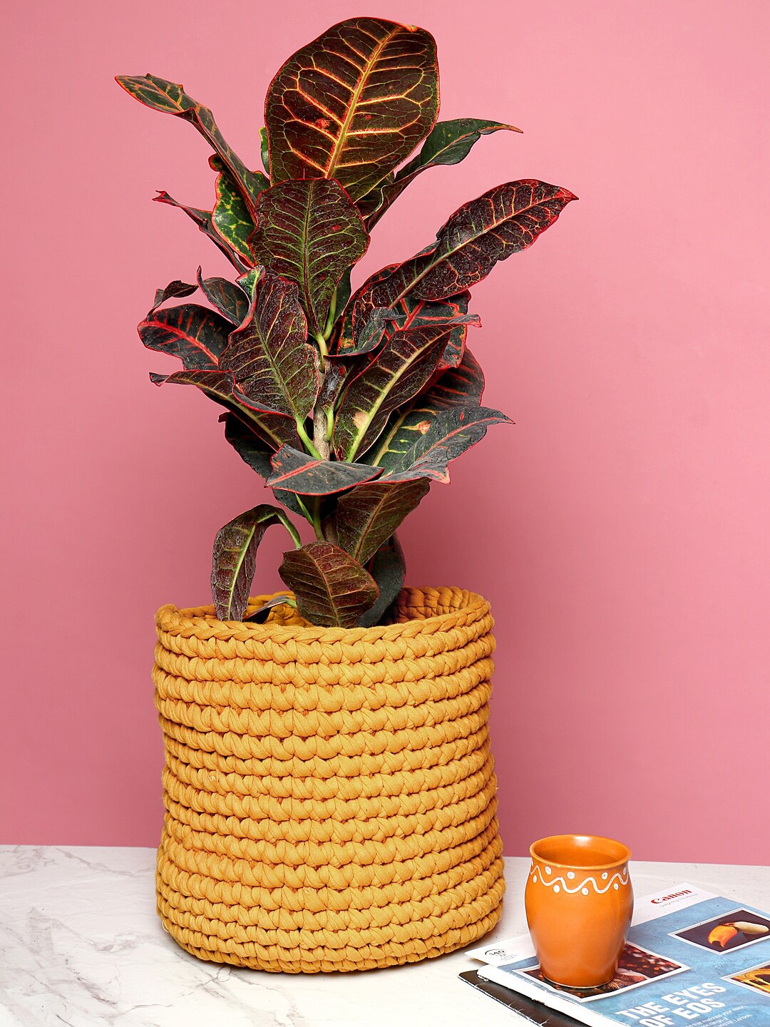 

HABERE INDIA Yellow Handmade Rope Planter Cover