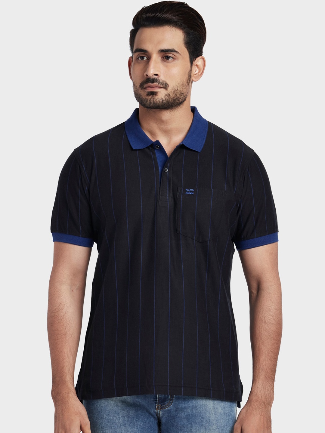 

ColorPlus Men Blue Striped Polo Collar T-shirt