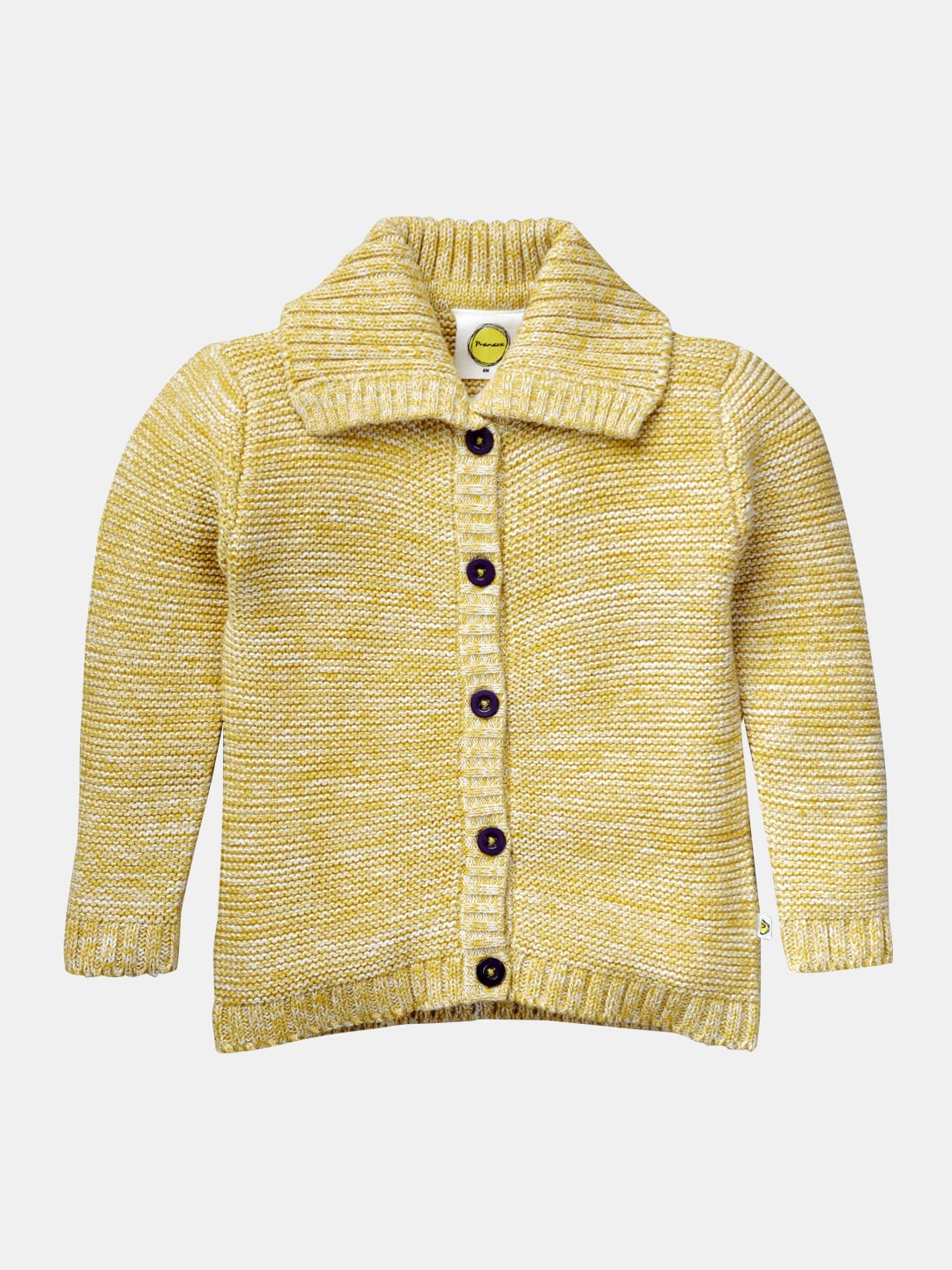 

Pranava Boys Gold Solid Front-Open Organic Cotton Sweater, Yellow