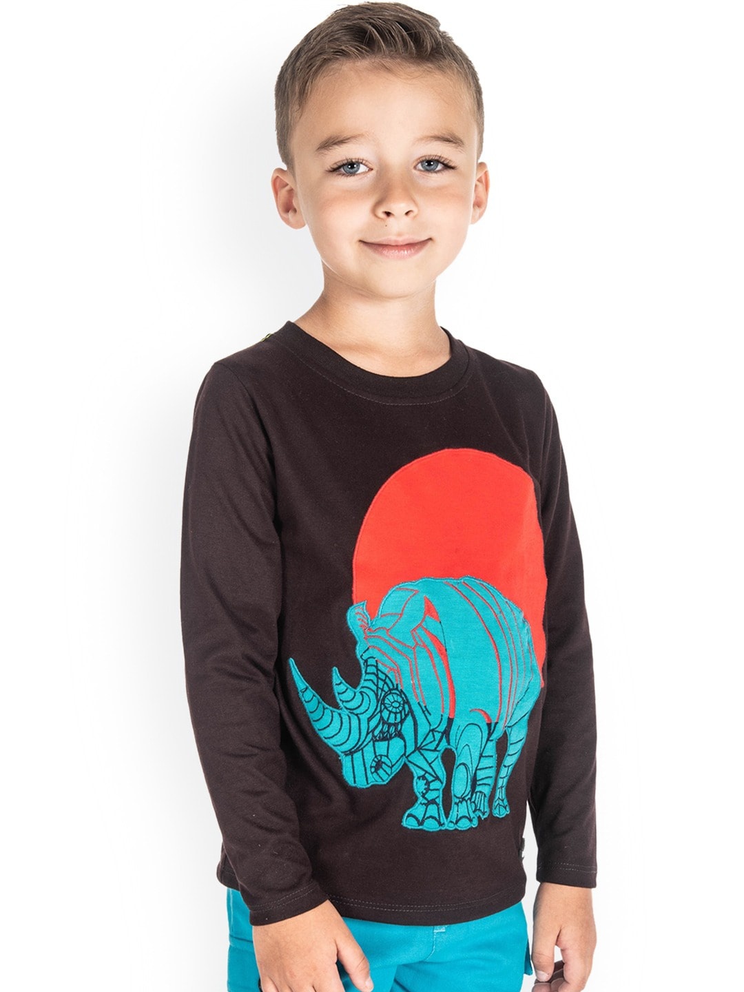 Cherry Crumble Boys Brown Printed Round Neck T-shirt