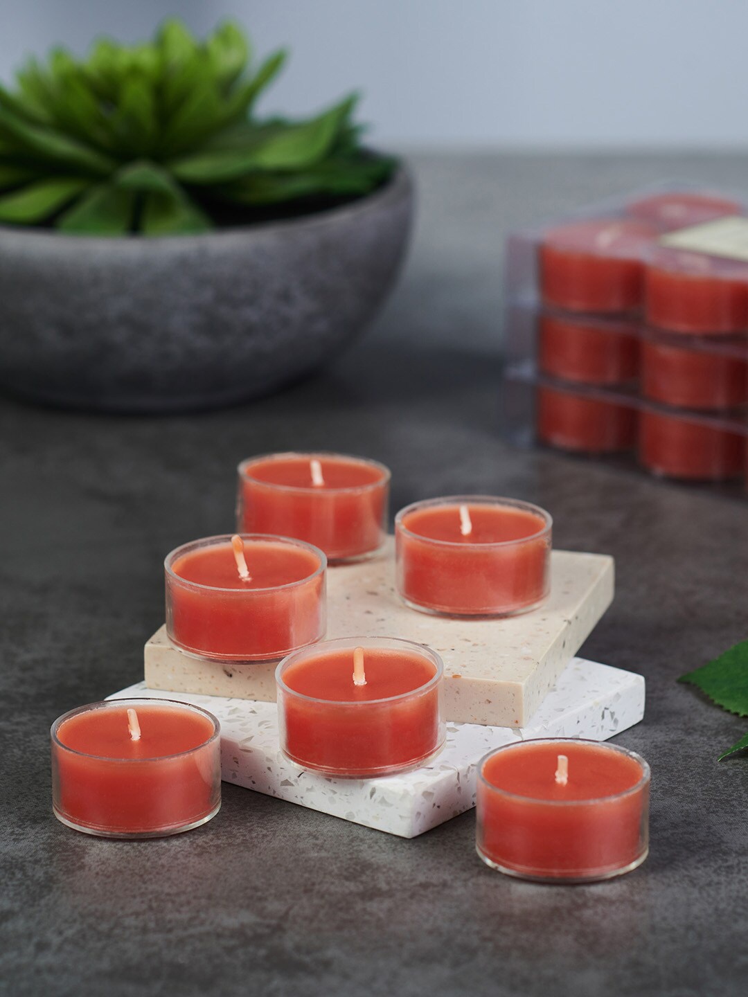 

Pure Home and Living Set Of 24 Orange Playful Berries Tealight Candle