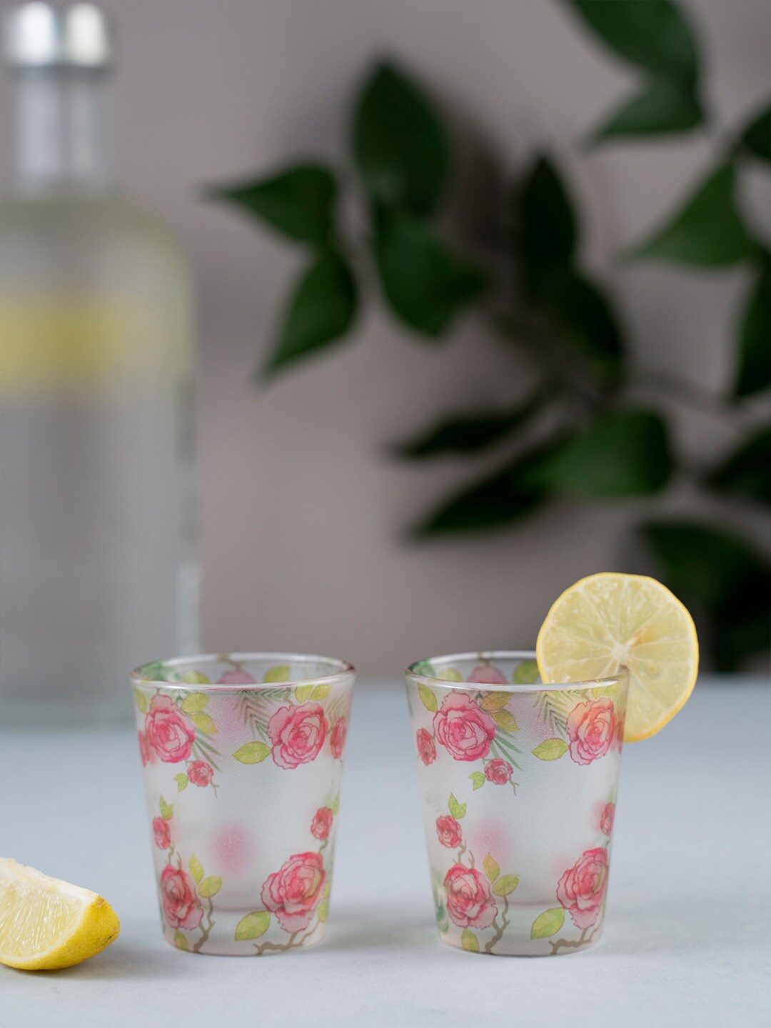 

KOLOROBIA Set Of 2 Red & Green Misty Morning Roses Frosted Shot Glasses