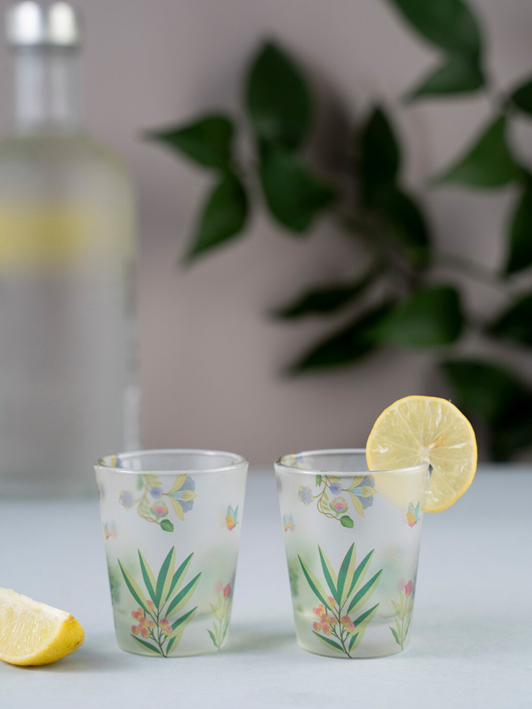 KOLOROBIA Set Of 2 White & Green Vibrant Bliss Frosted Shot Glasses