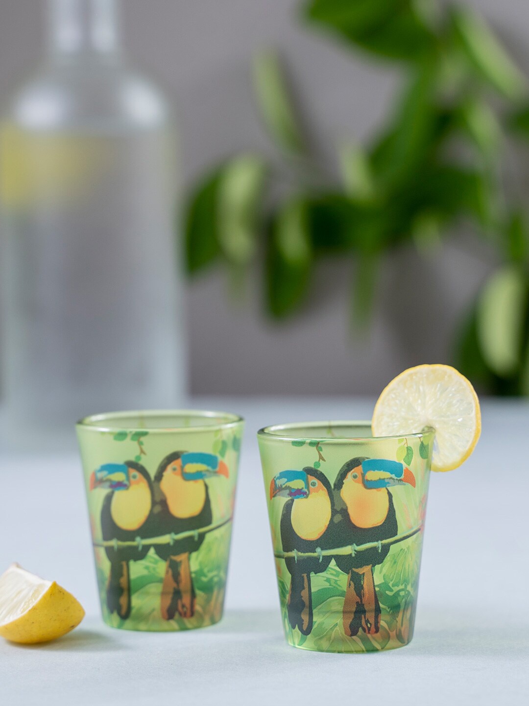 

KOLOROBIA Set Of 2 Green & Black Toucan Frosted Shot Glasses