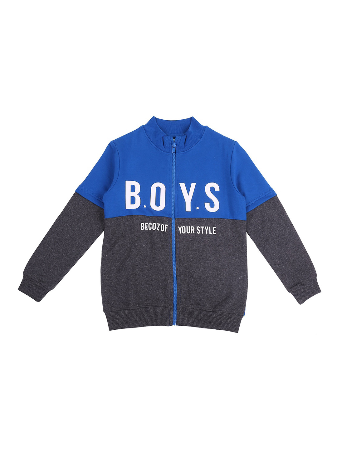 

Pantaloons Junior Boys Blue Colourblocked Sweatshirt