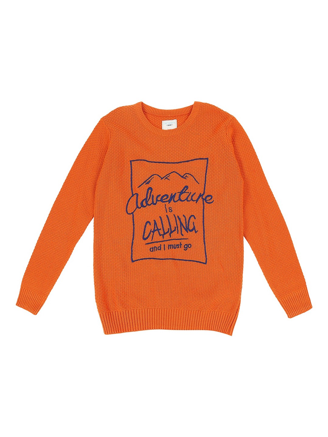 

Pantaloons Junior Boys Orange & Blue Printed Pullover Sweater