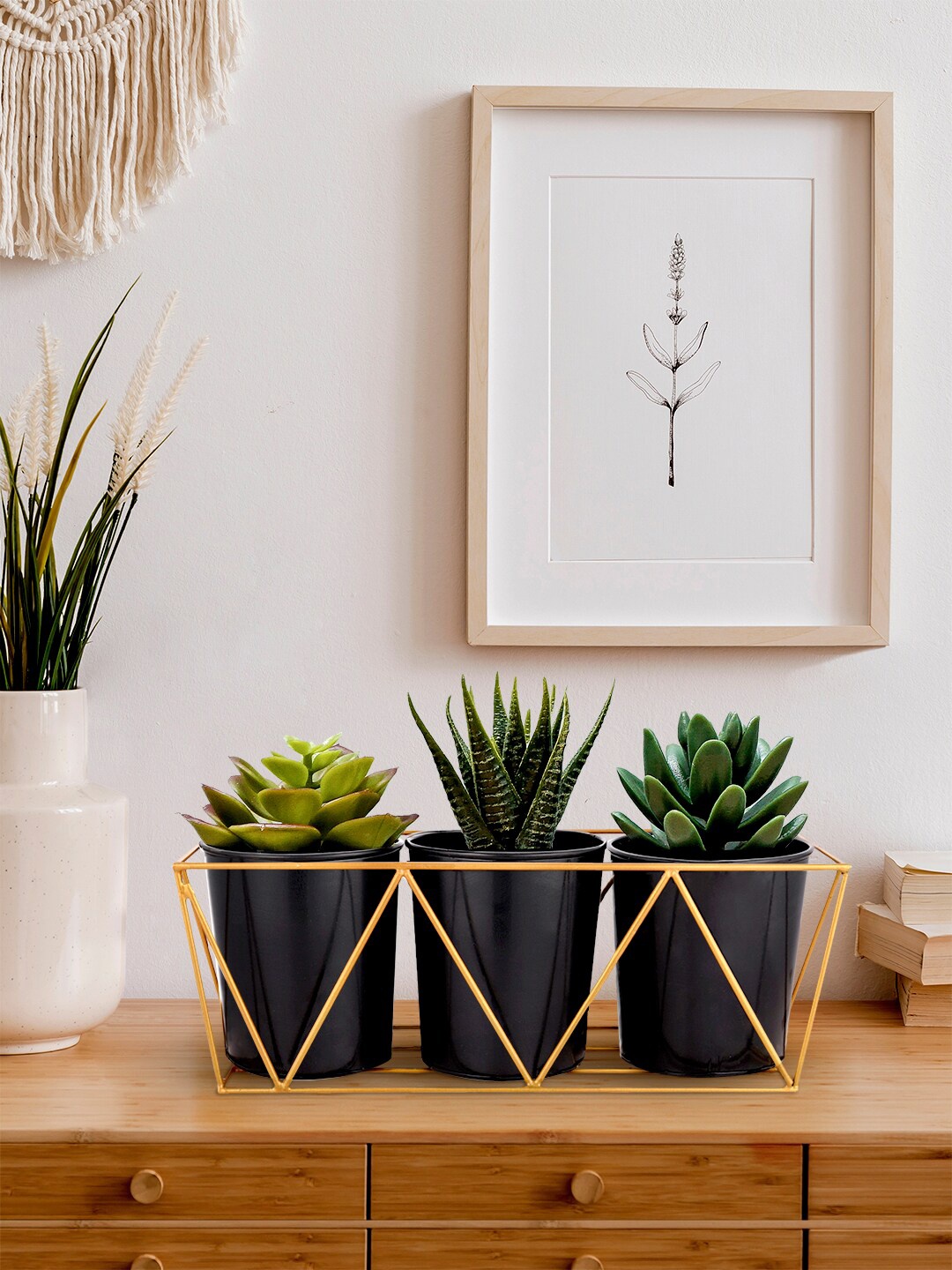 green girgit Set of 3 Black Solid Planters