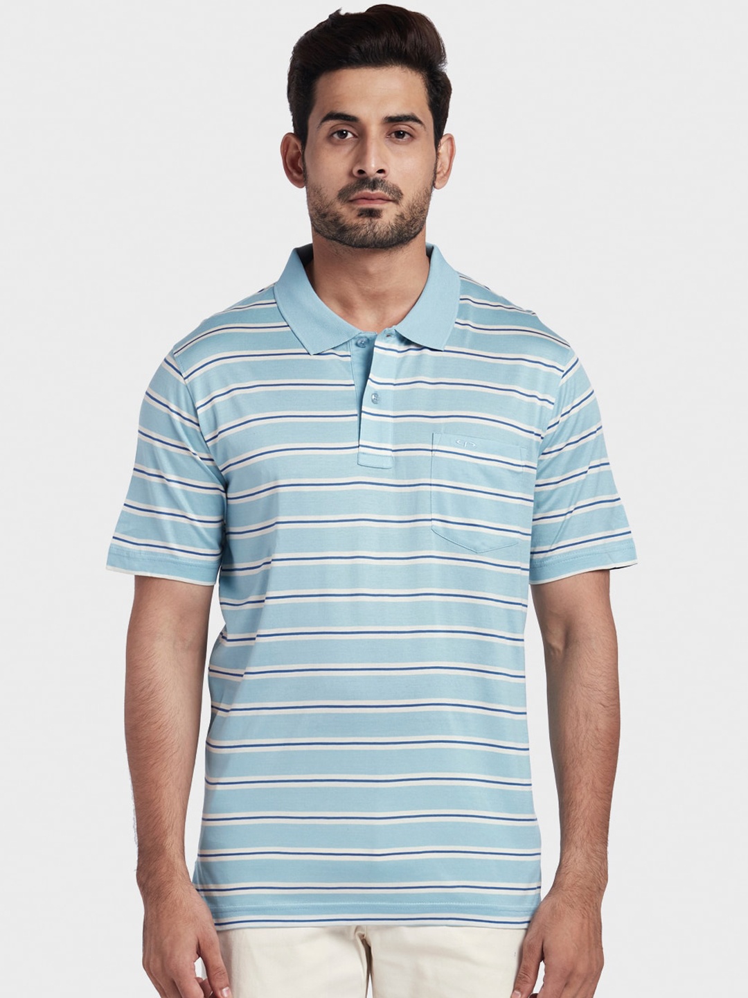 

ColorPlus Striped Polo Collar Cotton T-shirt, Navy blue