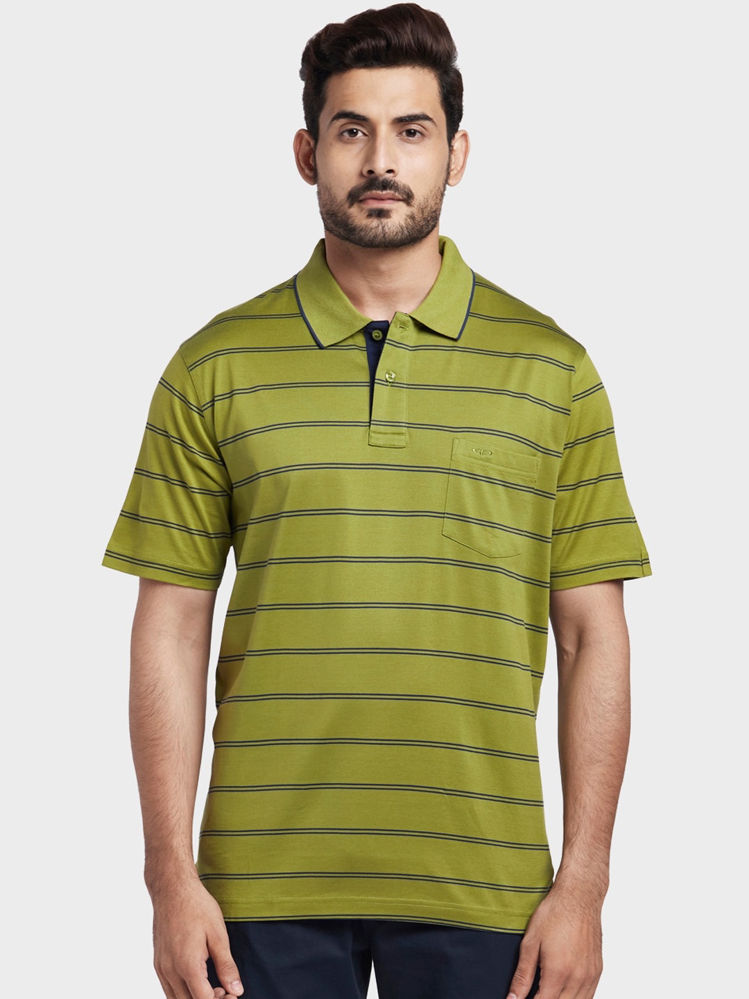 

ColorPlus Striped Polo Collar Cotton T-shirt, Green