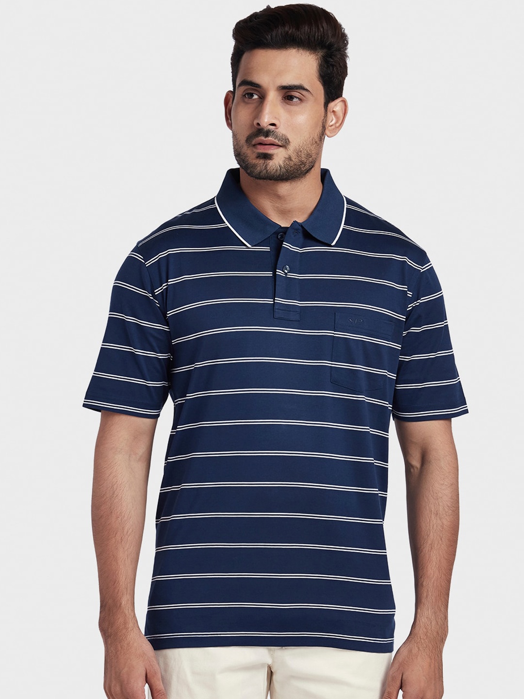 

ColorPlus Striped Polo Collar Cotton T-shirt, Navy blue