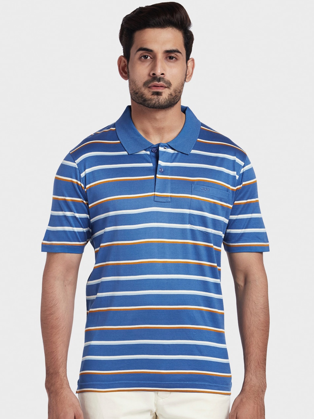 

ColorPlus Striped Polo Collar Cotton T-shirt, Blue