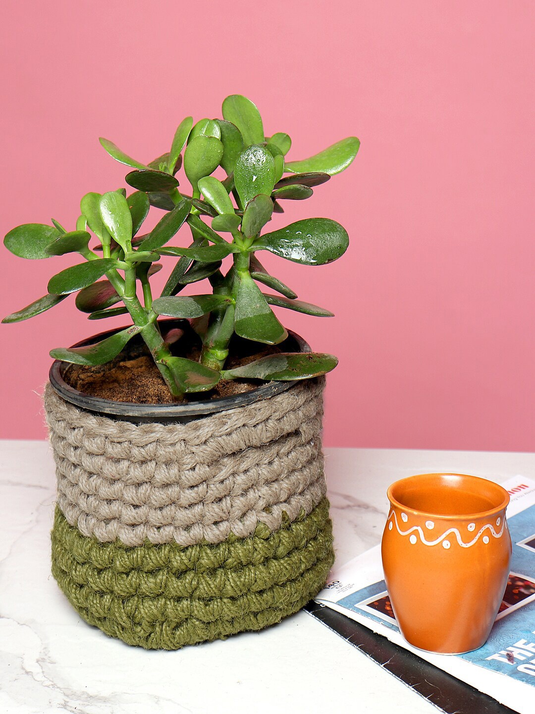 

HABERE INDIA Olive Green & Beige Handmade Cylindrical Jute Planter