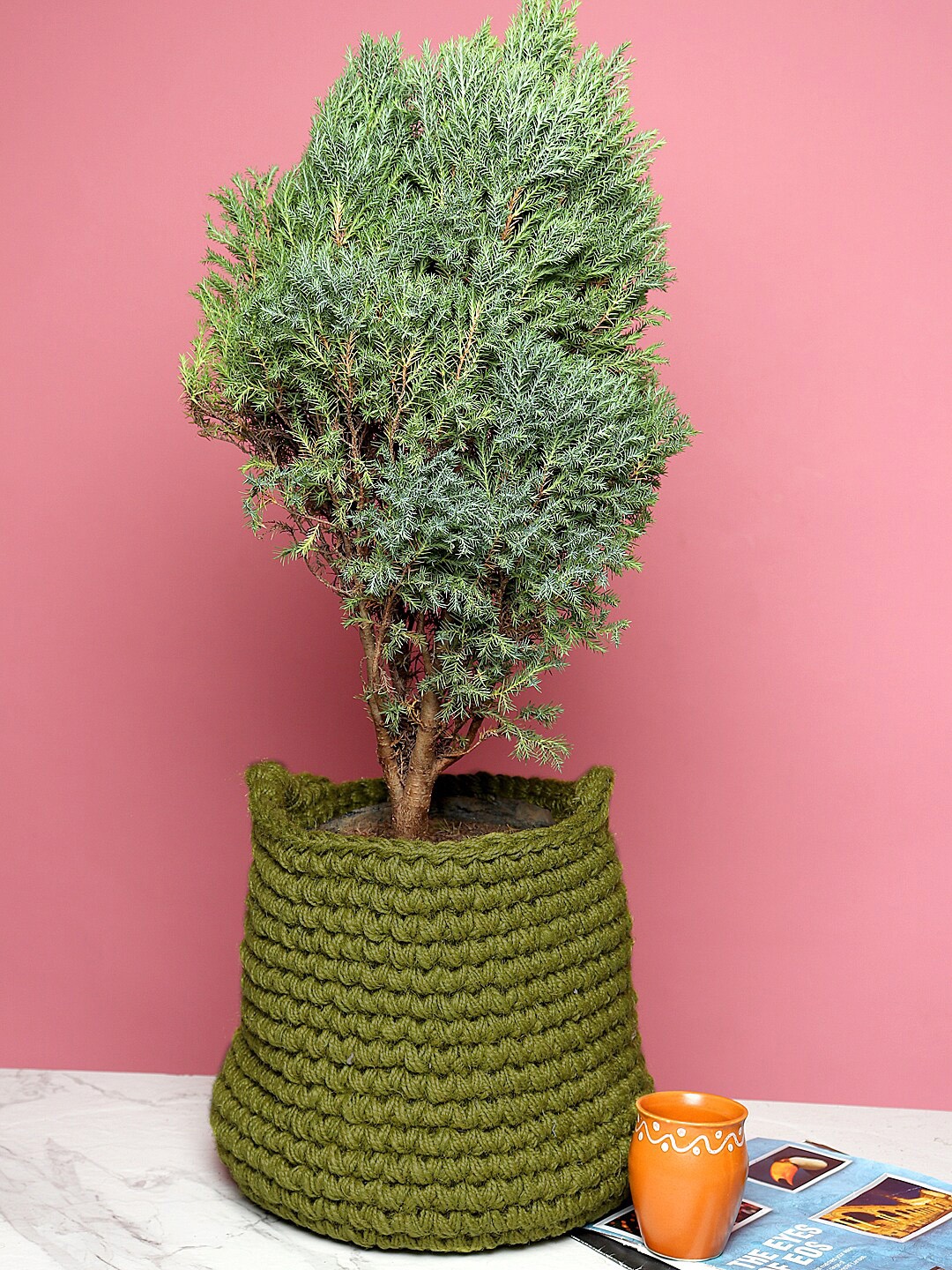 

HABERE INDIA Olive Green Solid Sustainable Jute Planter