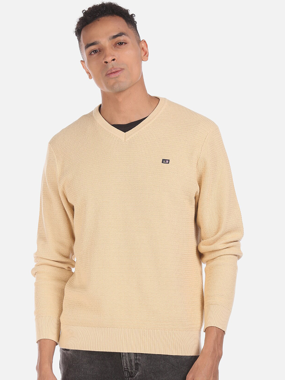 

Arrow Sport Men Beige Solid Pullover