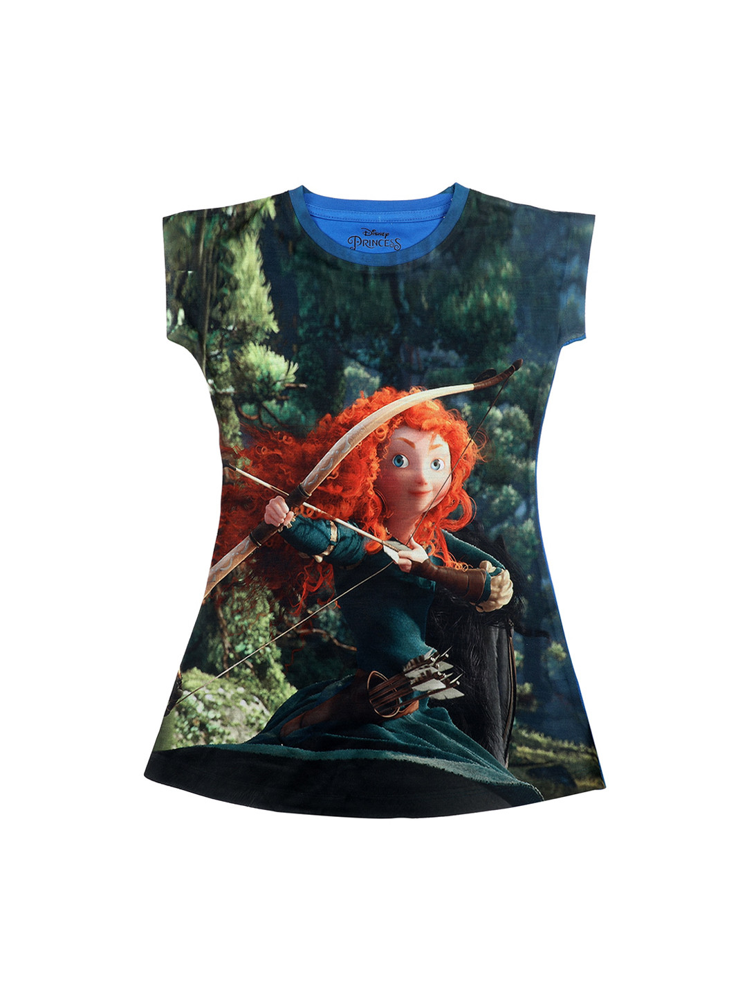 

Disney Princess Girls Blue Printed A-Line Dress