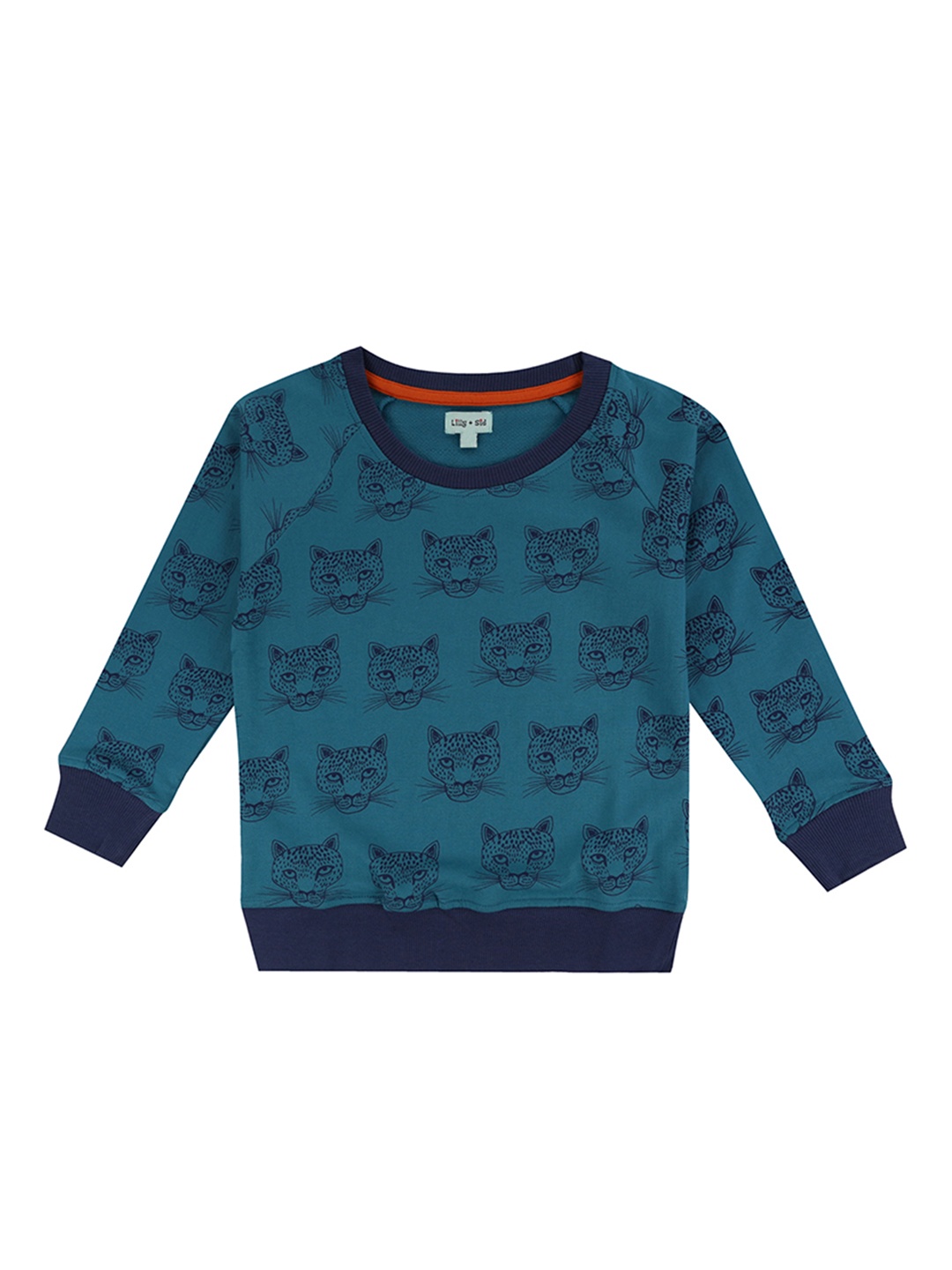 

Lilly and Sid Boys Teal Blue Printed Organic Cotton Sweatshirt