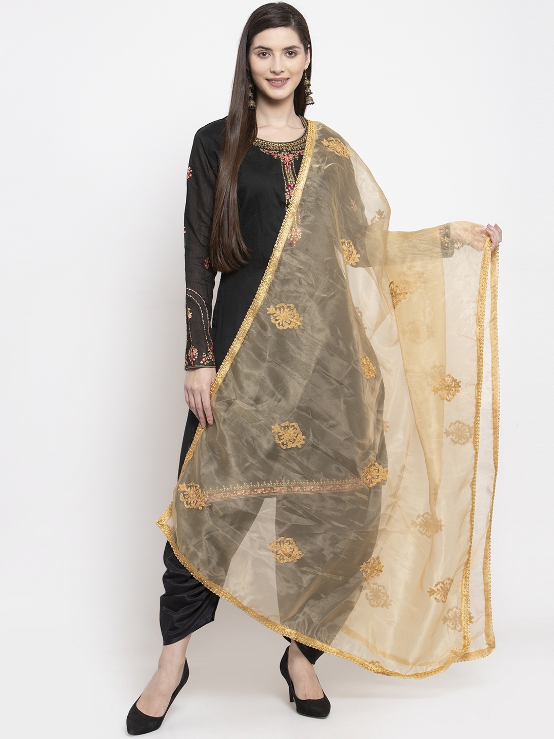 

mf Beige Embroidered Organza Dupatta