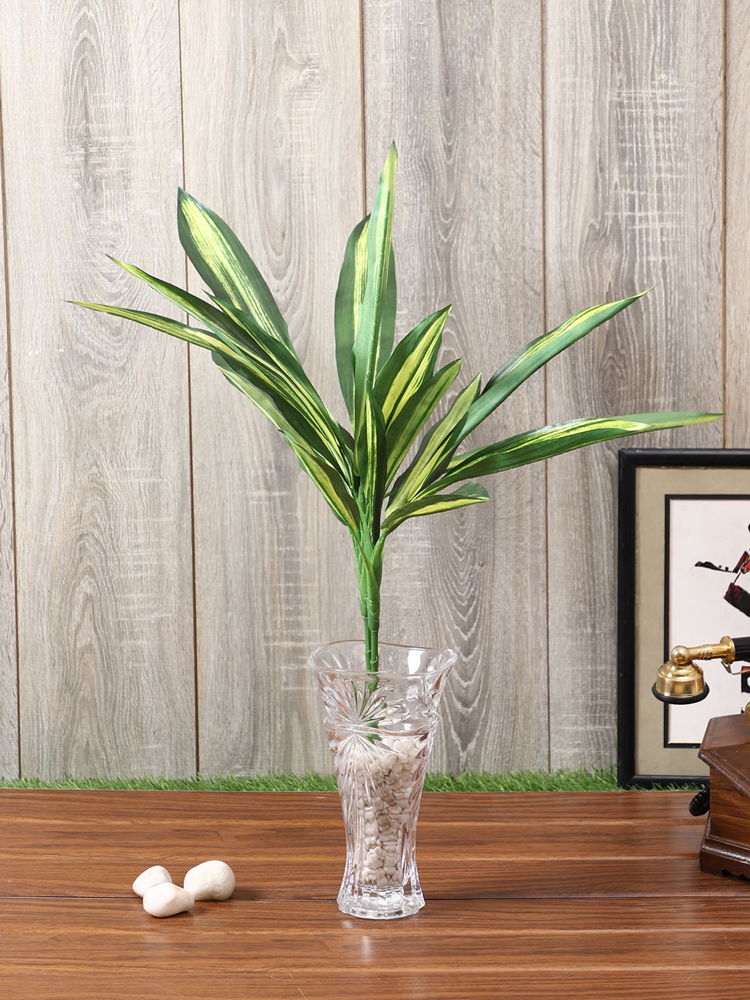

PolliNation Yellow Green Set of 2 Artificial Draceana Plant