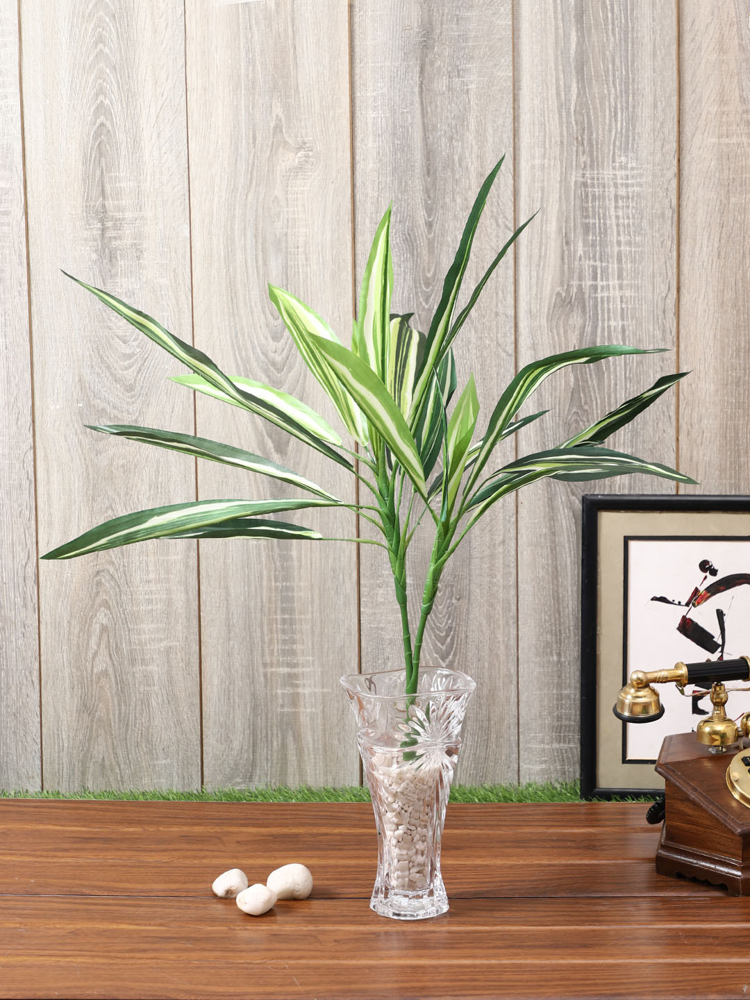 

PolliNation White Green Set of 2 Artificial Draceana Plant