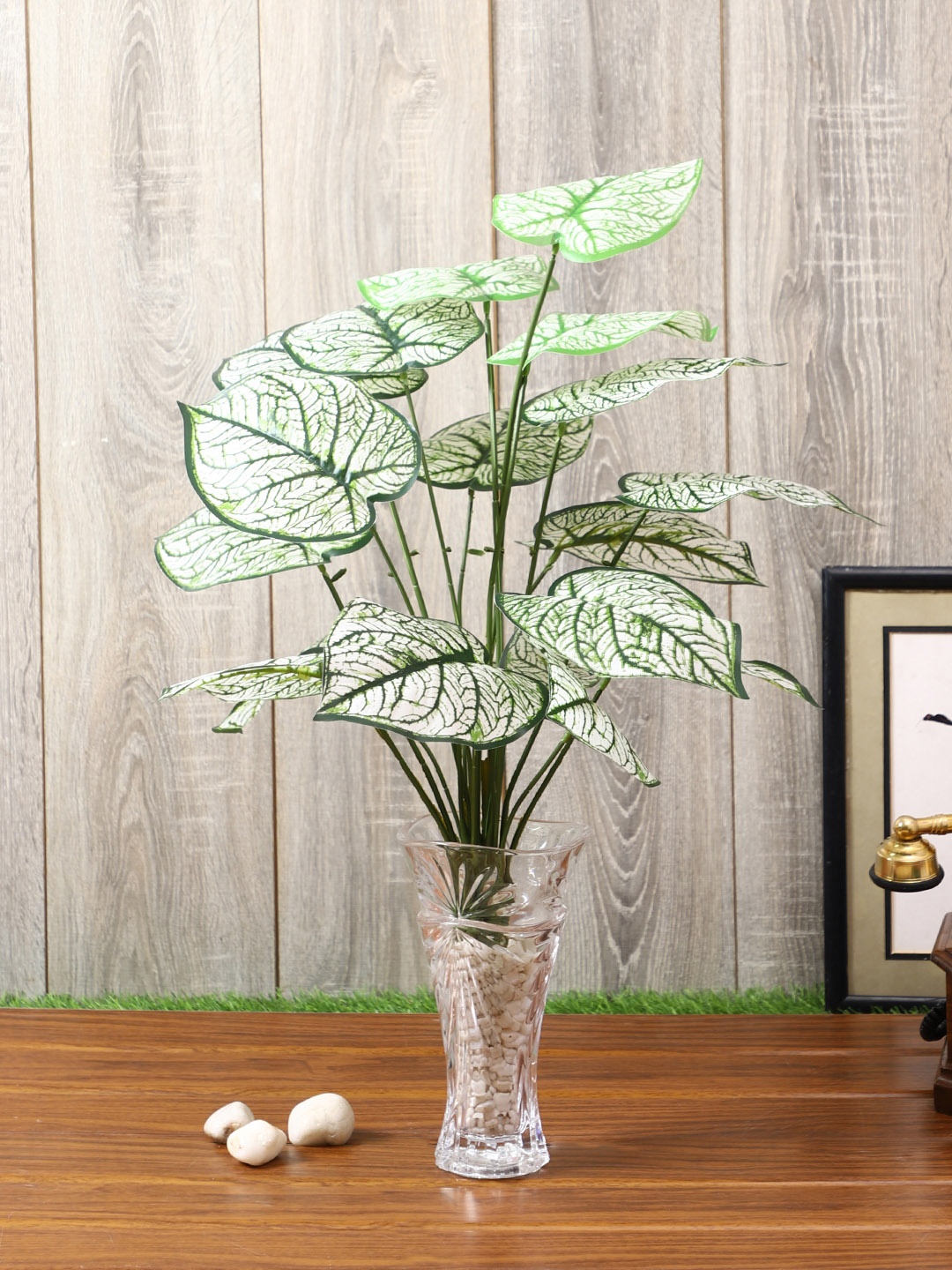 

PolliNation White Green Artificial Plant Without Pot