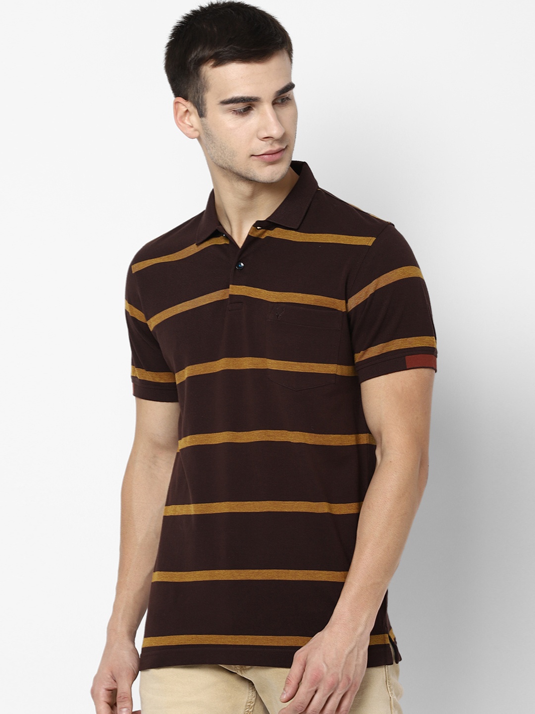 

Allen Solly Men Brown Striped Polo Collar T-shirt