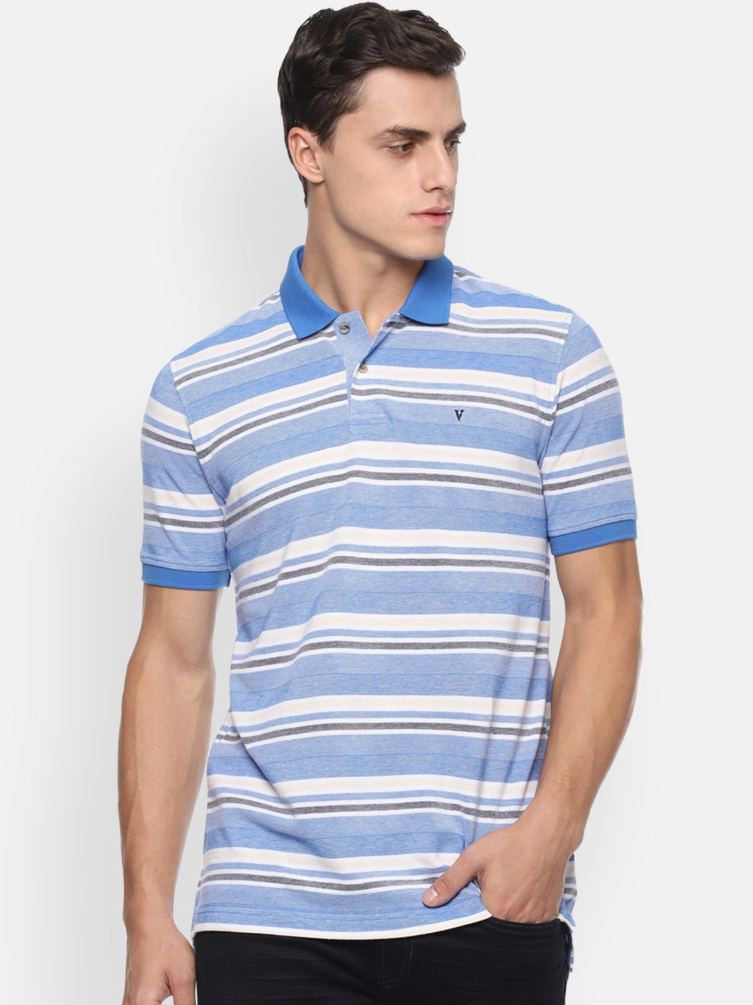 

Van Heusen Sport Men Blue White Striped Polo Collar Pure Cotton T-shirt