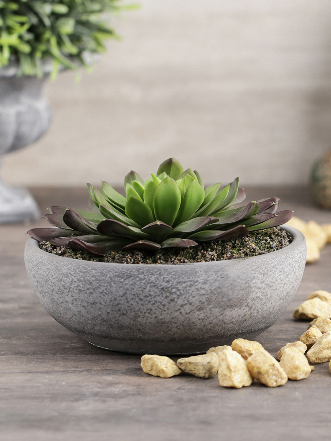 

Pure Home and Living Green & Purple Artificial Succulent Plant With Cement Pot