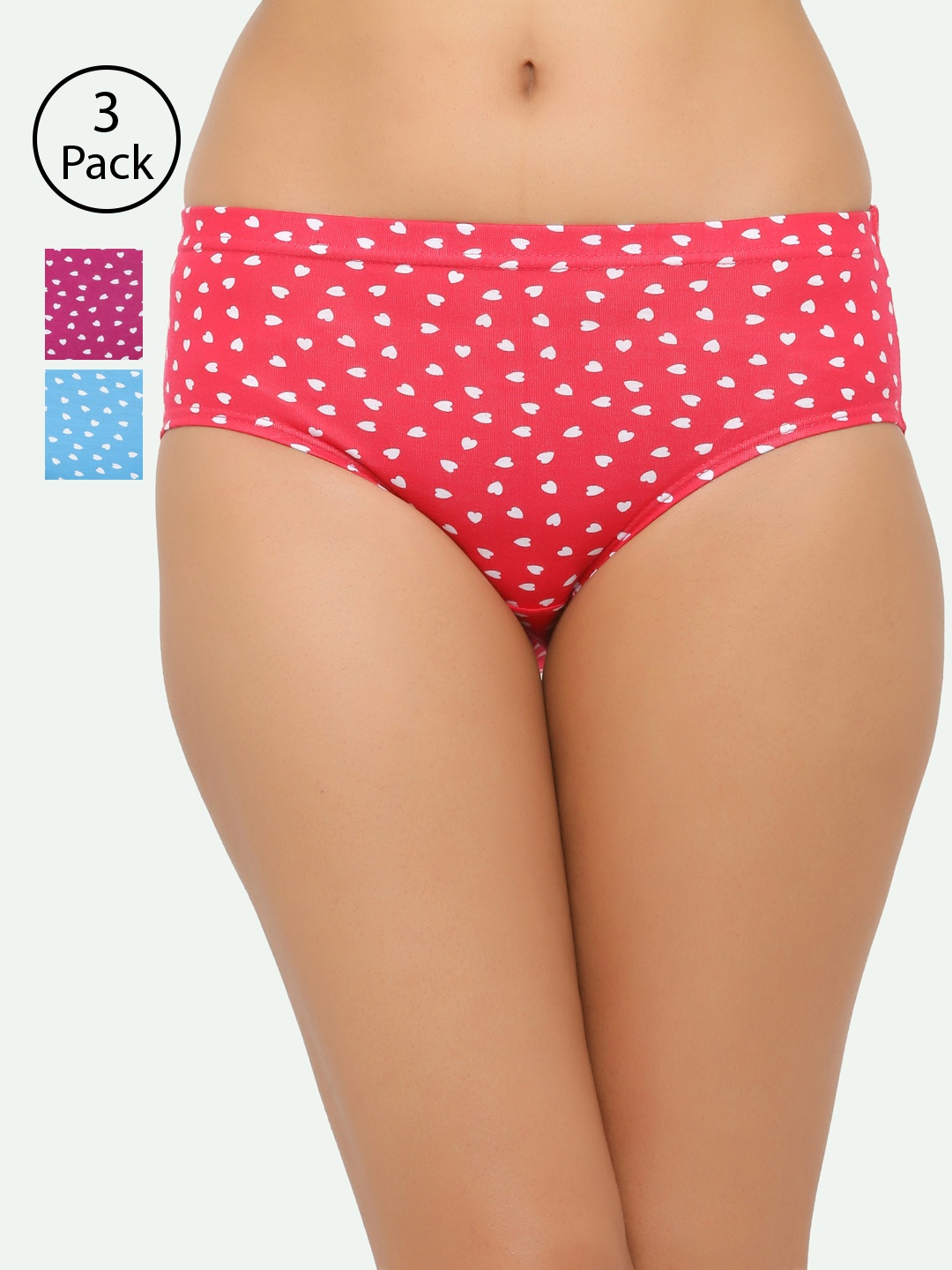 

Chipbeys Women Pack of 3 Assorted Hipster Briefs NClassicC280