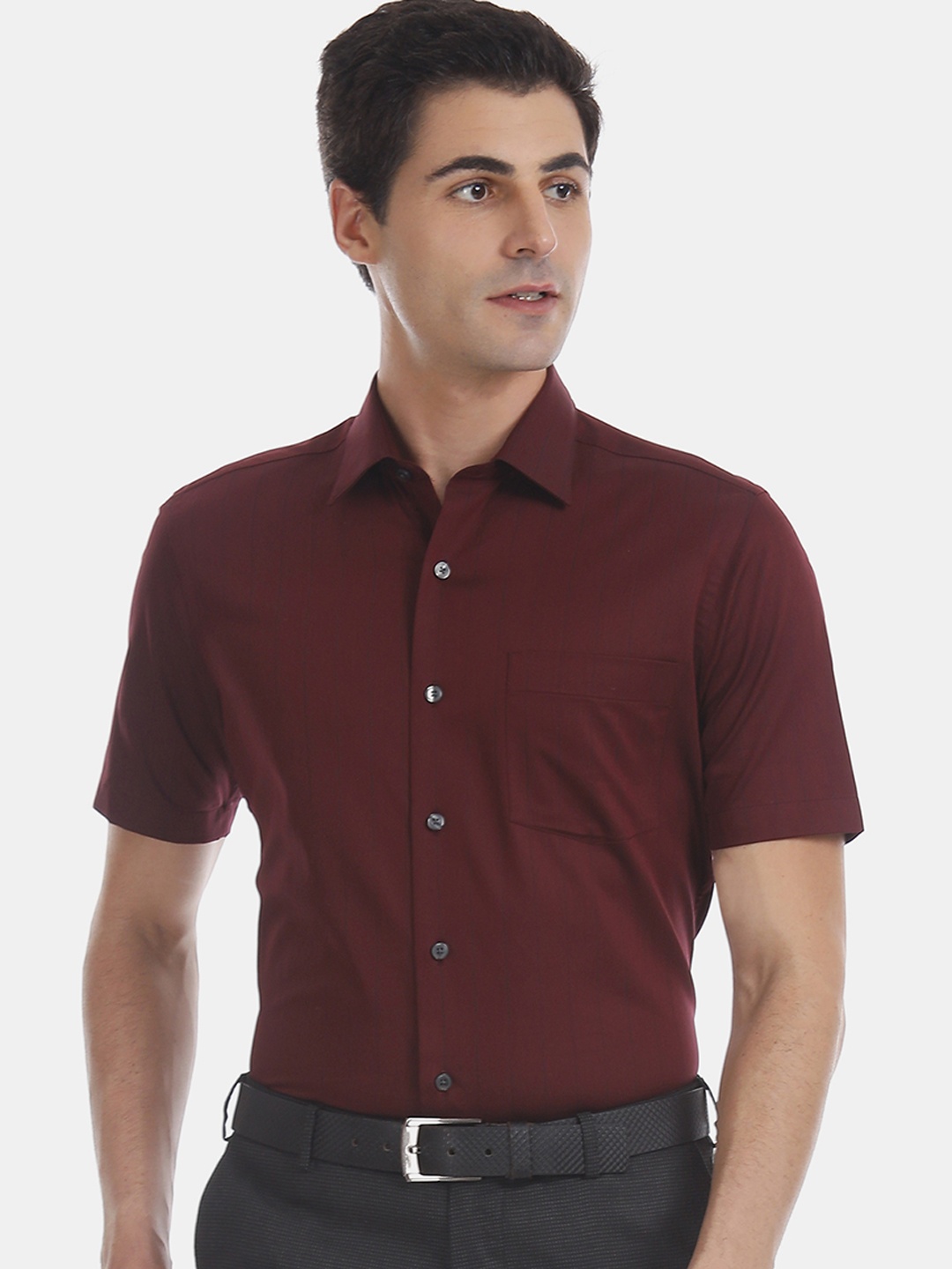 

Arrow Men Red & Navy Blue Regular Fit Striped Formal Shirt